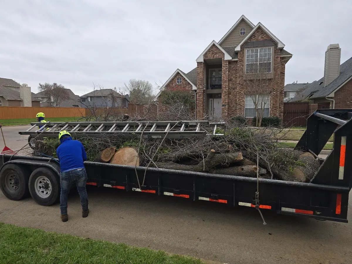 Expert Crown Reduction with proper safety equipment in Benton City